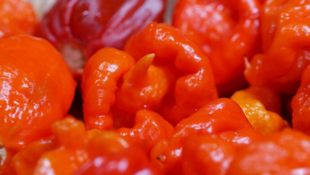 Weapons Grade Hot Sauce - Image 3