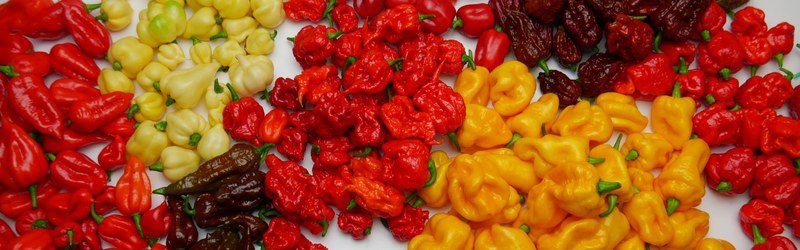 facts about chilies - super hots