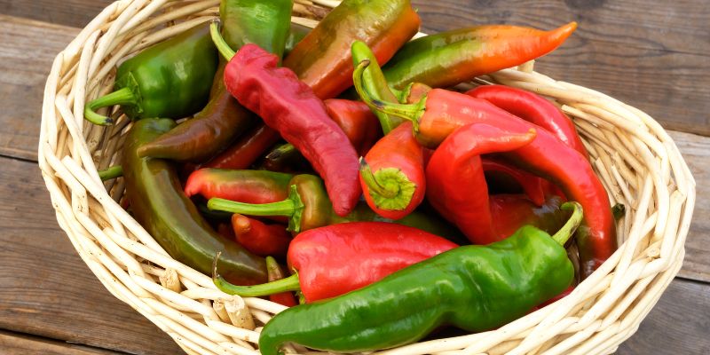 classic chilli  varieties - Anaheim