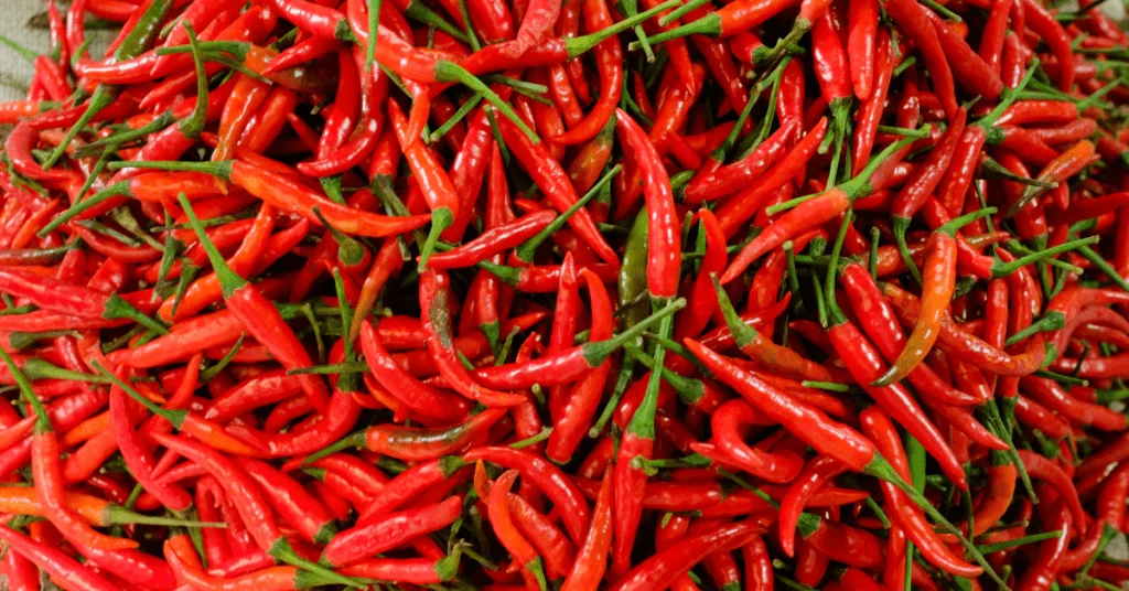 Peri peri chilli peppers