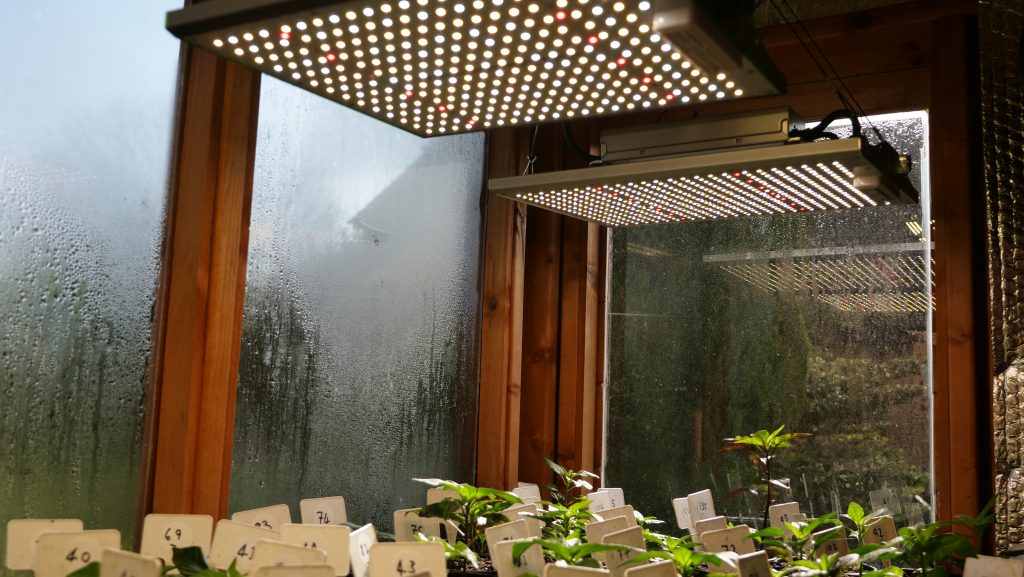 Artificial lights for plants - Potting shed