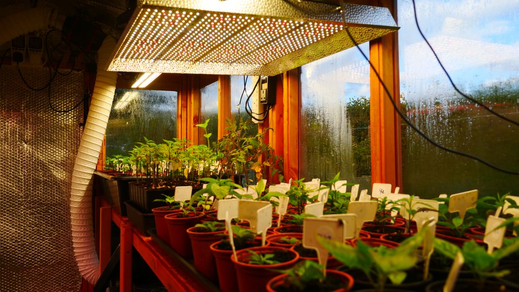 Artificial lights for plants - potting shed 2