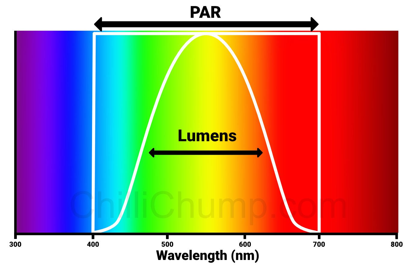 Artificial Lights For Plants Boost Your Plants Growth