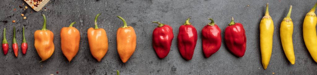Hottest Chilli Pepper - Super Hots