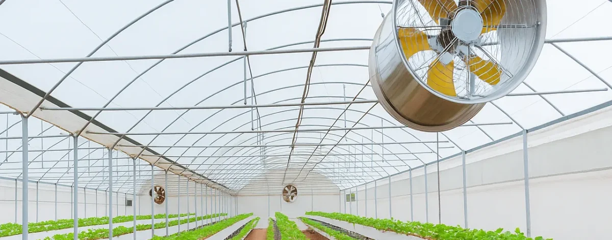 Air circulation for the best chilli pepper harvest - Proc