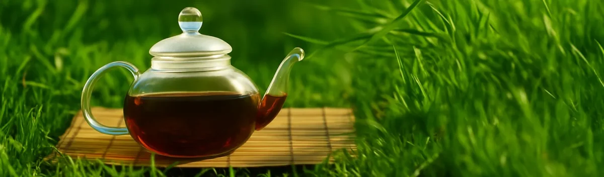 Tea to improve chili pepper seed germination