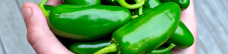 Bunch of Jalapeno