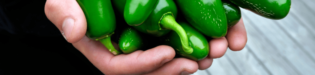 jalapenos