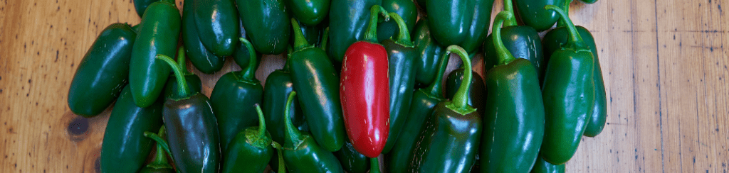 Red Peppers for Sriracha