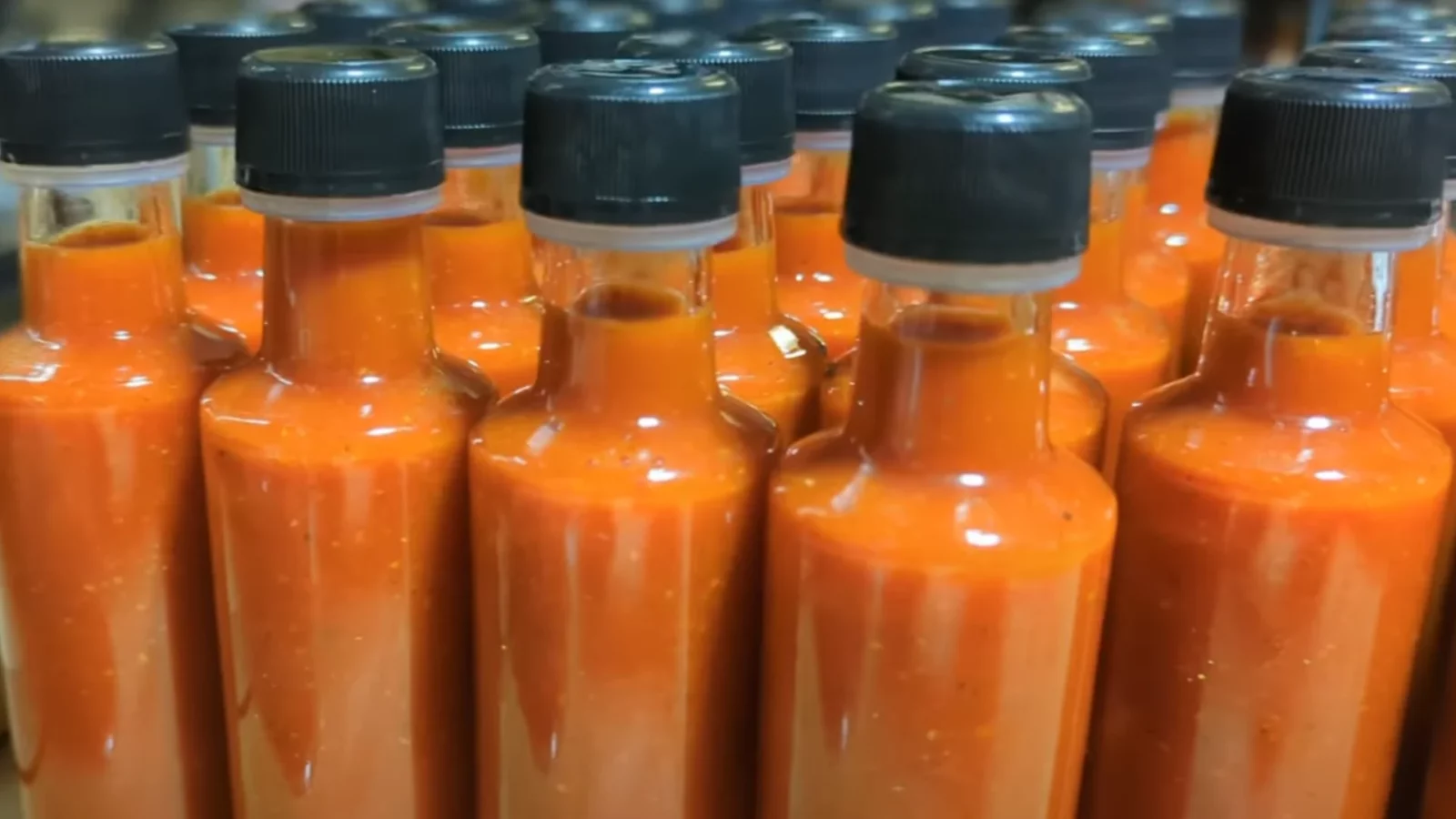 Ready to start a hot sauce business? 2 bottles-of-finished-hot-chilli-pepper-sauce