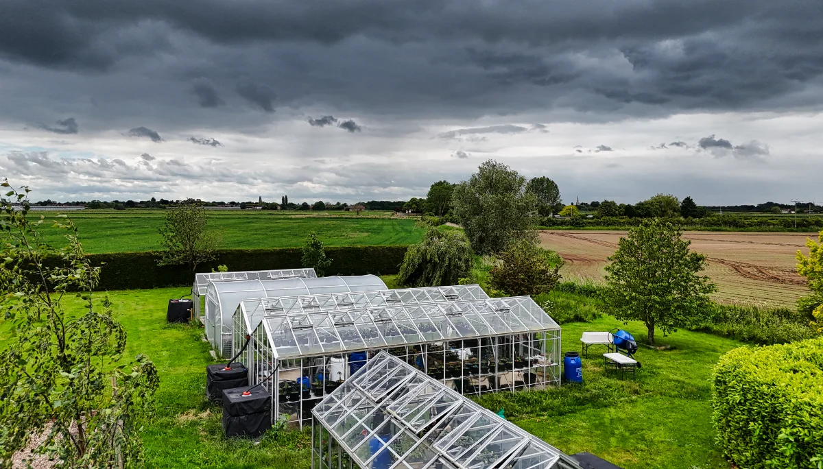 GREENHOUSE AND POLYTUNNEL ON A STORMY DAY