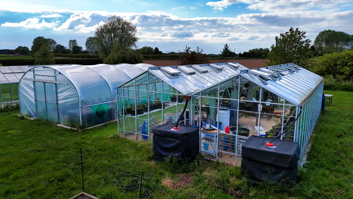 greenhouse and polytunnel