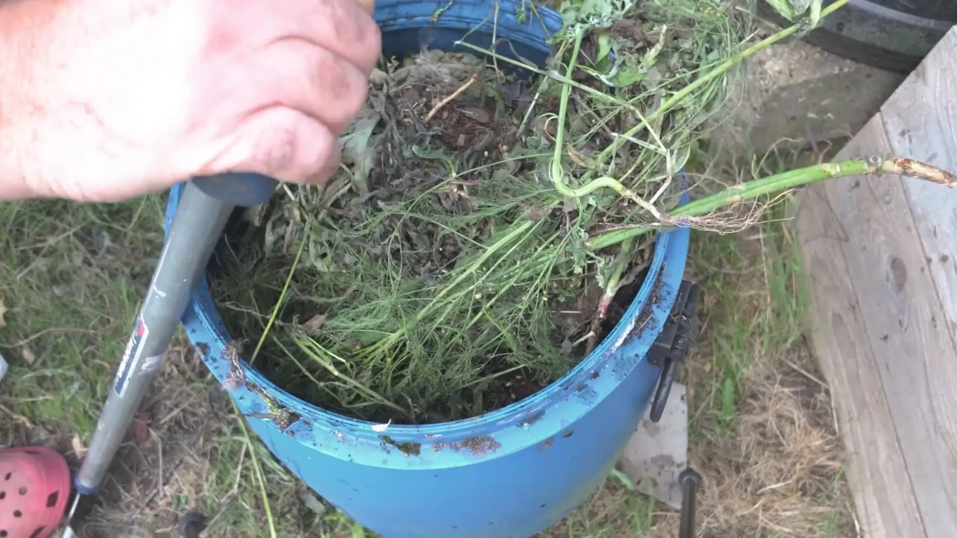Adding fresh plant matter to ongoing fertiliser batch