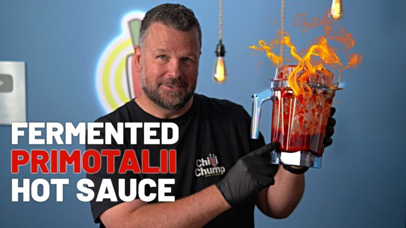 e411b4f4 9f81 49dd b17e 5ce5ae78deda