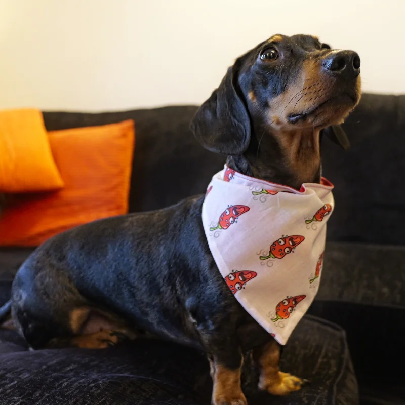 Reversible Chumpy Chilli Pet Bandanas 2 Reversible Chumpy Chilli Pet Bandanas - Image 2