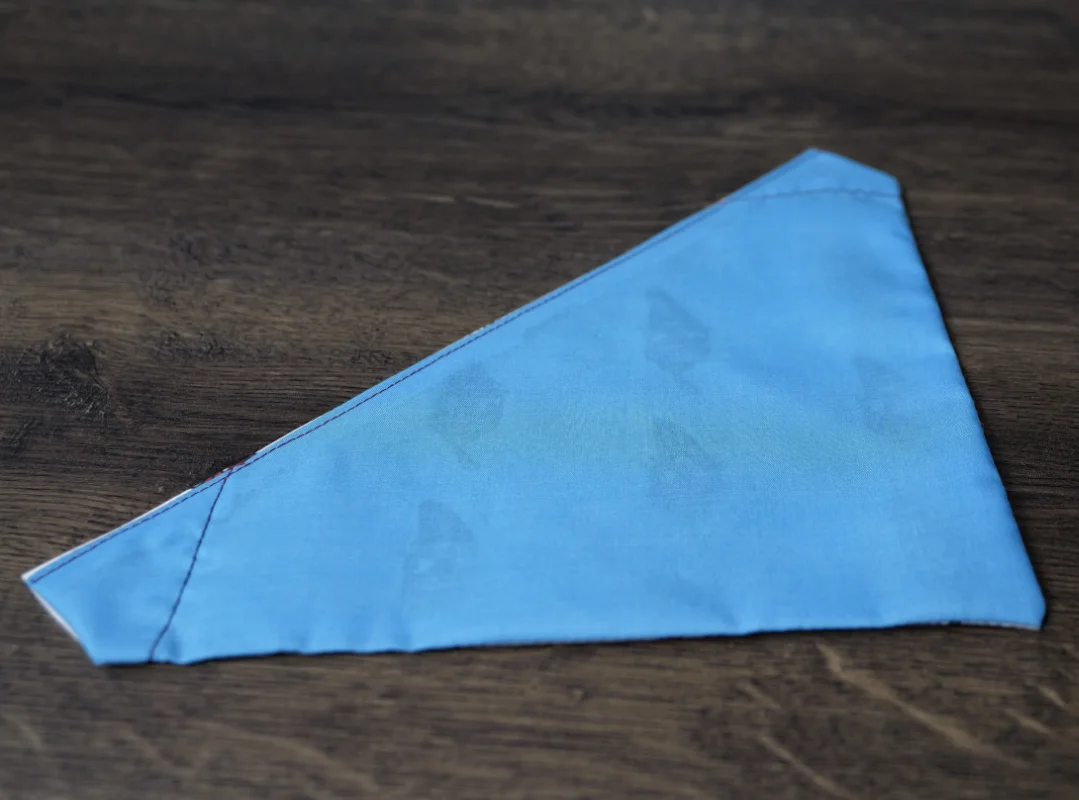 Reversible Chumpy Chilli Pet Bandanas 7 Reversible Chumpy Chilli Pet Bandanas - Image 7