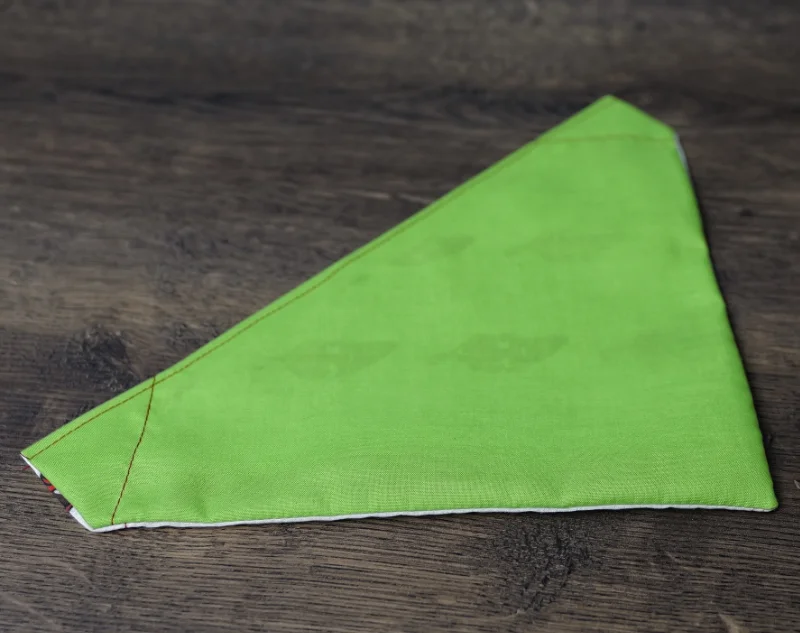 Reversible Chumpy Chilli Pet Bandanas 8 Reversible Chumpy Chilli Pet Bandanas - Image 8