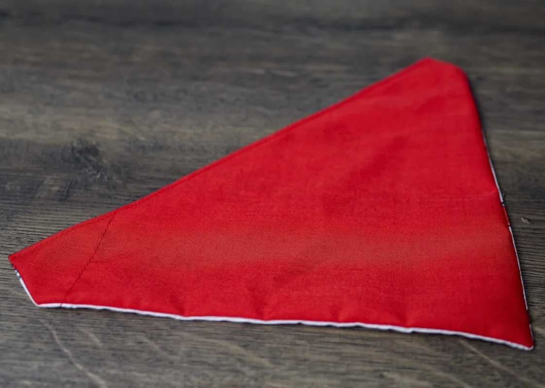 Reversible Chumpy Chilli Pet Bandanas 6 Reversible Chumpy Chilli Pet Bandanas - Image 6