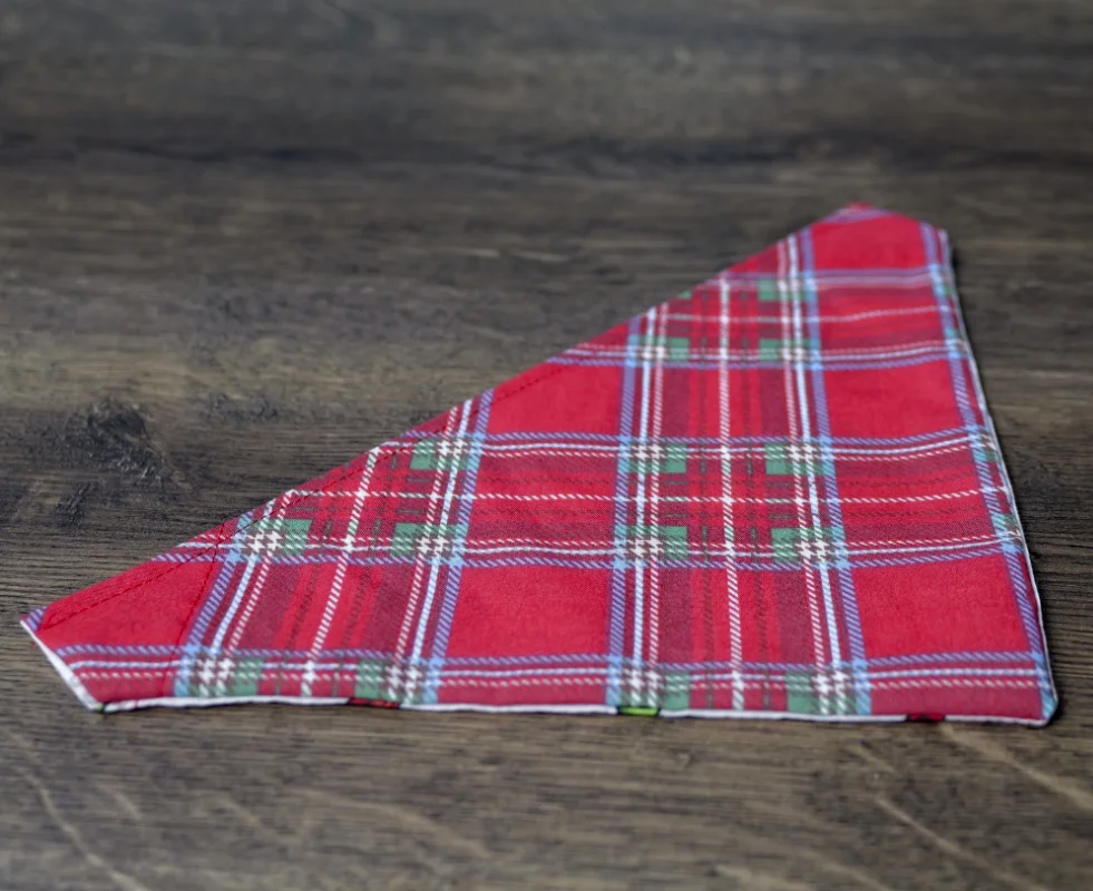 Reversible Chumpy Chilli Pet Bandanas 5 Reversible Chumpy Chilli Pet Bandanas - Image 5