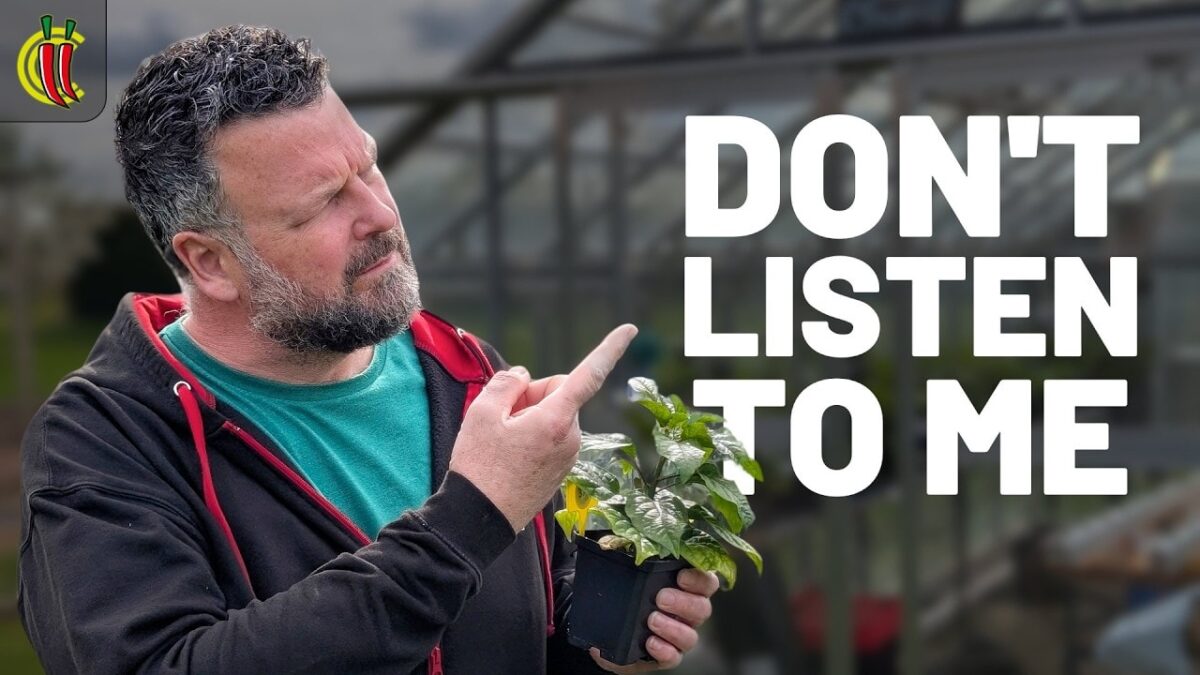 Hardiness Zones Explained for Chilli Growers: What They Actually Mean (And What They Don't) 1 video thumbnail for 'Don't Listen to Me (or Any Other Grower on YouTube)'