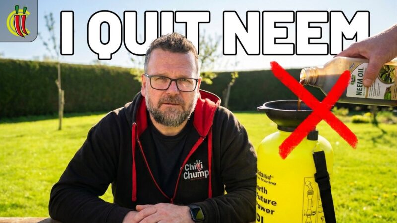 video thumbnail for 'Why I Stopped Using Neem Oil on Aphids'