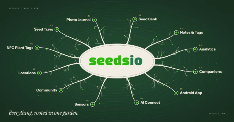 seedsiowhatsnew